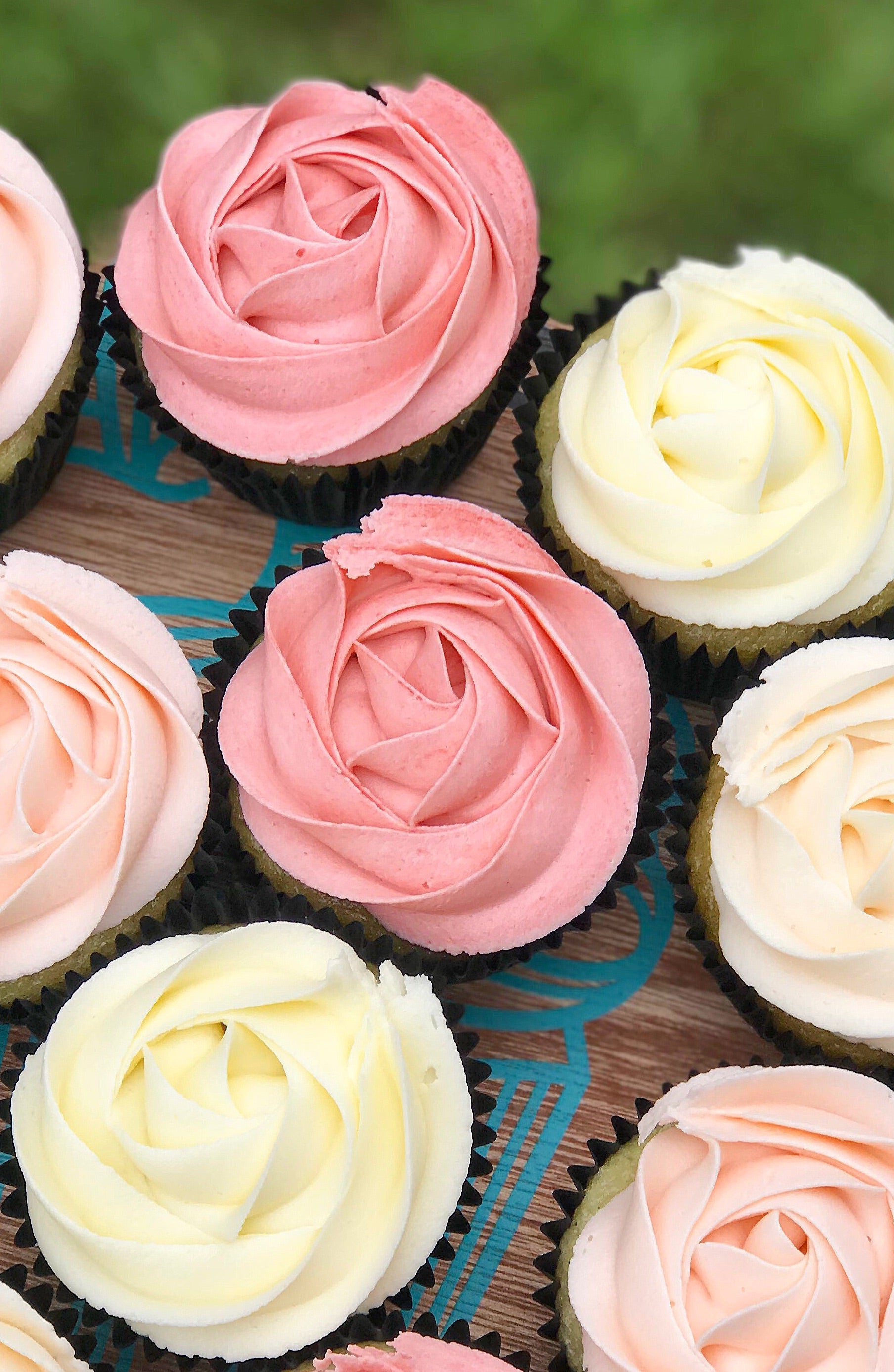 One On One Cupcake Lesson